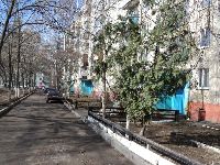Коломна (фото 11)