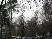 Лосиноостровский (фото 8)