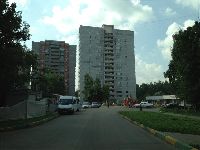 Развилка (фото 36)